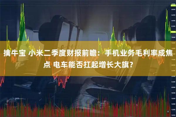 擒牛宝 小米二季度财报前瞻：手机业务毛利率成焦点 电车能否扛起增长大旗？