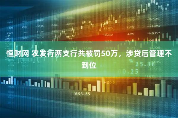 恒财网 农发行两支行共被罚50万，涉贷后管理不到位